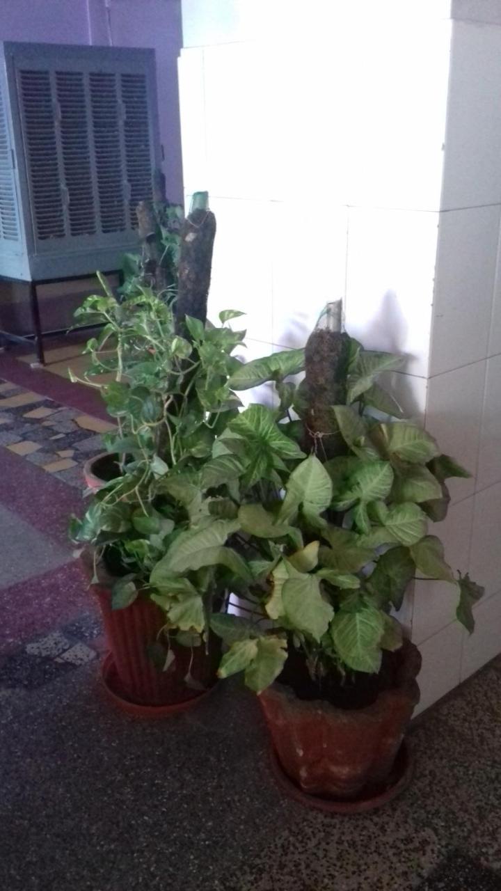 Arun Hotel Jodhpur  Buitenkant foto