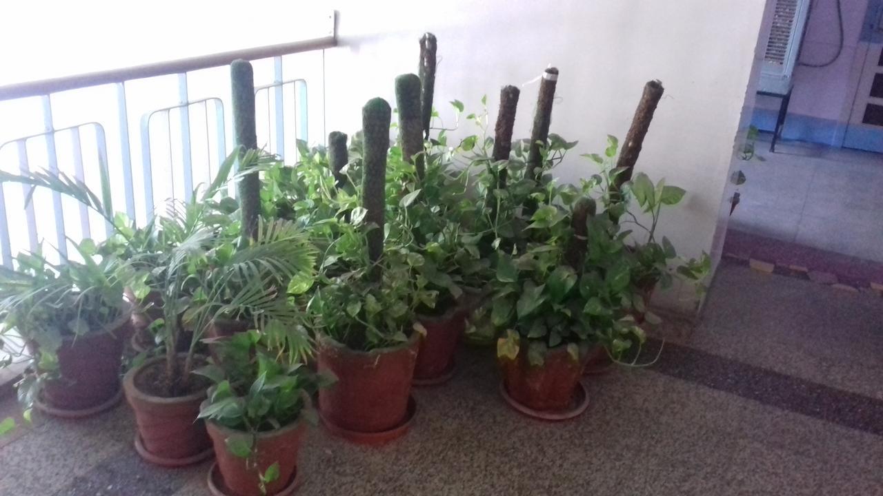 Arun Hotel Jodhpur  Buitenkant foto
